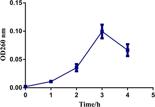 Figure 1 Release of intracellular components of methicillin-resistant S. epidermidis treated with MIC P. scabiosaefolia. Data were expressed as mean ±standard deviation (n=3).
