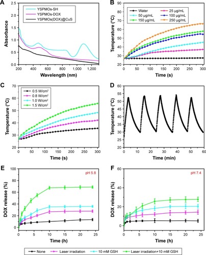 Figure 4 Photothermal properties of YSPMOs(DOX)@CuS NPs and in vitro drug release.Notes: (A) UV–Vis spectra of YSPMOs-SH, YSPMOs-DOX, and YSPMOs(DOX)@CuS. (B) Temperature changes of different concentrations of YSPMOs(DOX)@CuS and pure water after 5 min with 980 nm laser irradiation (laser power density: 1.0 W/cm2). (C) Temperature changes of YSPMOs(DOX)@CuS solution (50 μg/mL) after 5 min at different power densities of 980 nm laser irradiation. (D) Photothermal stability study of YSPMOs(DOX)@CuS. (E) Release kinetics of DOX from YSPMOs(DOX)@CuS in the presence and absence of GSH and irradiation in PBS buffer at (E) pH=5.8 and (F) pH=7.4.Abbreviations: DOX, doxorubicin; UV–Vis, ultraviolet–visible; YSPMOs, yolk–shell-structured periodic mesoporous organosilica nanoparticles.