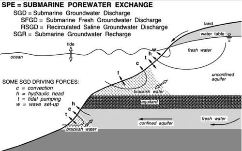 Fig. 4 Schematic depiction (not to scale) of processes associated with SGD. Reprinted by permission from Macmillan Publishers Ltd: Nature, Thibodeaux and Boyle, copyright Citation1987.