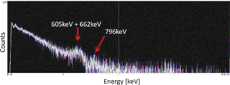 Figure 9. Energy spectra of Tree 1 in the field test in the northern part of Miyagi Prefecture.