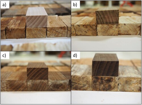 Figure 1. Samples following exposure to Gloeophyllum trabeum in a) the reference beech wood, b) the mineralised wood, c) the thermally modified wood, and d) the wood treated using both procedures. The unexposed sample is placed on the top of the degraded samples for comparison.