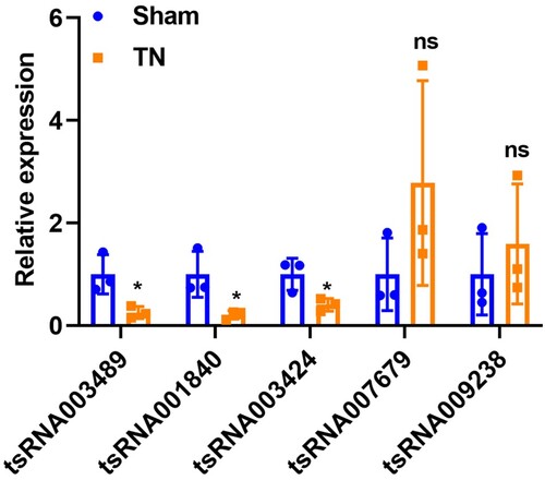 Figure 7. RT-qPCR validation. Five pyroptosis-related DEtsRNAs in network were selected for RT-qPCR verification. * p < 0.05, ns p > 0.05.