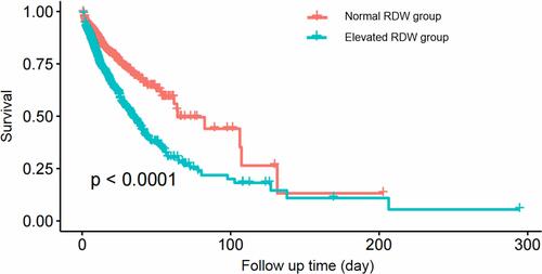 Figure 2 The K-M survival curve of normal RDW (≤15.5%) group and elevated RDW (>15.5%) group.