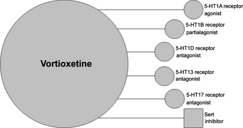 Figure 1 Multimodal mechanism of action of vortioxetine.