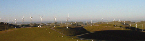 Figure 1. Panoramic view of the Altamont Pass wind farm in California.