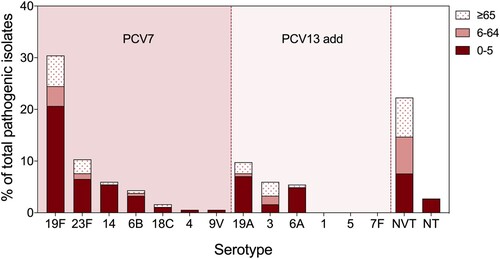 Figure 1. Serotype distribution of pathogenic pneumococcal isolates in different age groups. All pathogenic pneumococcal isolates were serotyped by latex and quellung reactions, where young children (<5 years old) related strains were also analyzed in silico by whole genome sequencing via SeroAB and PneumoCAT. The proportion of each PCV serotype, NVT (Non-Vaccine Type), and NT (Non Typeable) strains in all pathogenic pneumococcus were calculated in different age groups: 0–5 (red), 6–64 (pink), and, ≥65 (pink dots) years old.