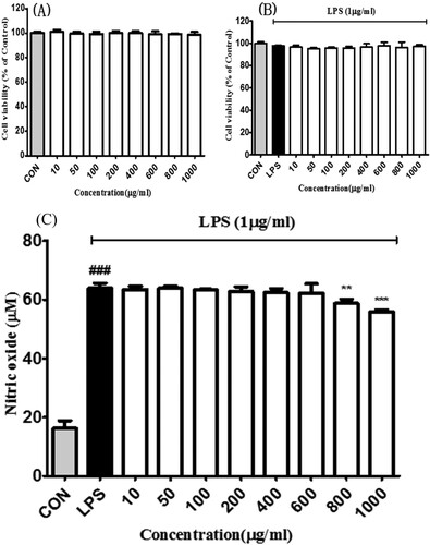 Figure 2 . Effects of bilberry extract on the (a) cell viability in RAW 264.7 and (b) LPS-treated RAW 264.7 cells. After 24 h incubation with the bilberry extracts, cell viability was examined by the MTT assay. (c) Effects of bilberry extract on NO production in LPS-induced Raw 264.7 cells. LPS-induced NO production was measured by Griess assays. All data are expressed as mean ± standard deviation (n = 3). ### P < 0.001 compared with the control group; *P < 0.05, **P < 0.01 and ***P < 0.001 compared with the LPS-treated group.