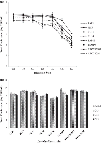 Figure 2. Total viable count (log CFU/mL) of the isolated Lactobacillus and references strains in simulated gastric juice (a) and simulated intestinal juice (b) at different digestion steps (G1–G7).Figura 2. Recuento viable total (log CFU/mL) de Lactobacillus aislada y cepas de referencia en jugos gástricos simulados (a) y jugos intestinales simulados (b) en distintas etapas de la digestión (G1- G7).