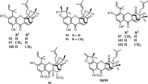 Figure 5.  Prenylated caged xanthones from G. bracteata.