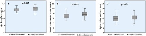Figure 1 Comparison of aortic stiffness index  (A), carotid intima-media thickness (B) and epicardial fat thickness (C) among the normoalbuminuria and microalbuminuria groups.