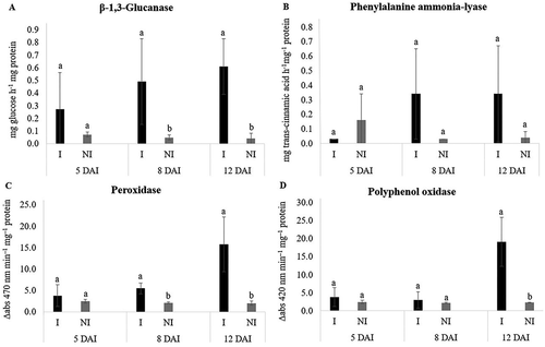 Fig. 5 Specific activity of β-1,3-glucanase (a), phenylalanine ammonia-lyase (b), peroxidase (c) and polyphenol oxidase (d) in Macrotyloma axillare ‘Java’ inoculated or not with Meloidogyne javanica – Trial 2. Bars with the same lowercase letter do not differ at the same time of evaluation by the Bonferroni T test (p > 0.05). DAI = days after inoculation. I = inoculated. NI = non-inoculated.