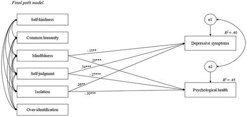 Figure 1. Final path model.