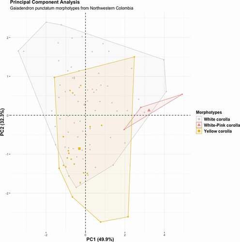 Figure 3. Results of the principal component analysis (PCA) for Gaiadendron punctatum morphotypes from Northwestern Colombia. Projection of sampled individuals on PC1 and PC2 axes is shown