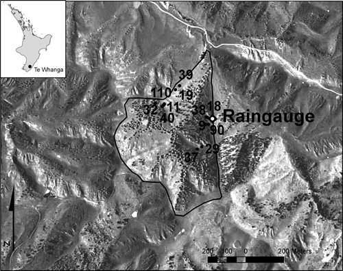 Figure 2  Location of pasture DM production monitoring sites within the study catchment at Te Whanga station. The drainage basin of the study catchment is delineated and the location of the rain gauge shown. The monitoring site numbers are also shown.