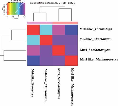 Figure 5. webPIPSA server was used for the comparison of the electrostatic potentials of Mrt4-like proteins from four different species. Protein from species with highly similar electrostatic potentials, such as Chaetomium thermophilum (4NWB) and Thermotoga martima (PDB-1ZAV) in one subcluster, whereas Saccharomyces cerevisiae and Methanococcus jannaschi (PDB-3JSY) in the distinct second subcluster.