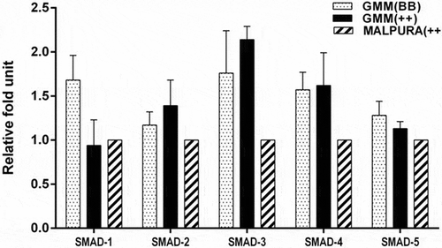 Figure 5. Quantitative expression of the SMAD signaling genes in the granulosa cells of different FecB genotypic groups of ewes. The relative abundance (RFU, relative fold unit) of the SMAD signaling genes shown in the granulosa cells of homozygous carrier GMM (FecBBB), non-carrier GMM (FecB++) and non-carrier Malpura (FecB++) ewes with reference to RPL19 as housekeeping gene (internal control). Pairwise significant difference between means of FecB groups was considered from P value lower than 0.05 to 0.001. No significant difference between means of gene expression data (RFU) of different FecB groups was recorded.