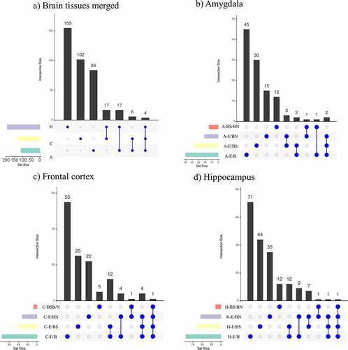 Figure 5. DMR-related gene overlaps obtained across contrasts in the brain structures investigated. (a) shows the DMR-related genes obtained in all tissues merged and the number of unique DMR-related genes per tissue; (b-c) show the DMR-related genes obtained in each tissue analysed (amygdala (b), frontal cortex (c), and hippocampus (d)) and the unique DMR-related genes obtained per contrast employed.