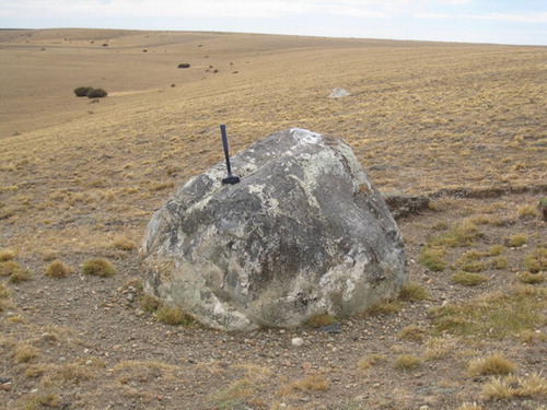 Figure 3. Isolated erratic boulders on a moraine ridge, most of them Andean in origin.