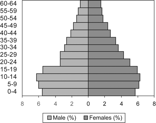 Figure 4: Age–sex distribution from the October Household Survey 1997