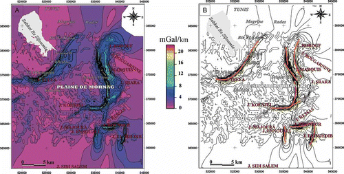 Fig. 5 (a) Carte de la magnitude du gradient horizontal (en mGal/km); et (b) représentation des linéaments gravimétriques déduits à partir de la carte MGH.