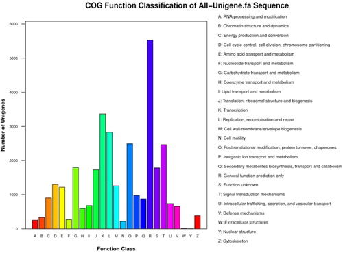 Figure 5. COG classification of lingonberry All-Unigenes.