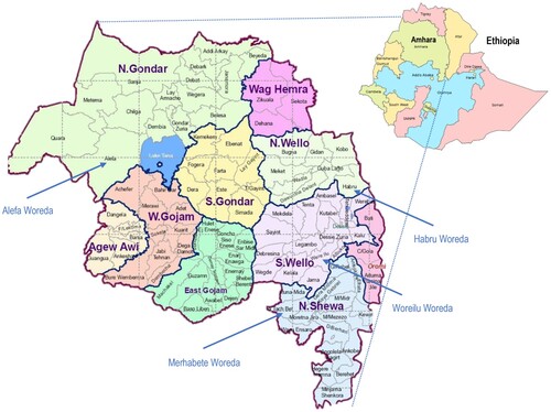 Figure 1. Location of study woredas in Amhara Region. Source: Ethiopian Demography and Health, “Amhara” and Jfblanc https://commons.wikimedia.org/w/index.php?curid=93949036.