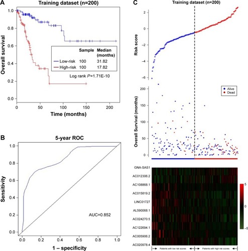 Figure 2 Association between the ten-lncRNA expression signature and overall survival of patients with CC in the training dataset.