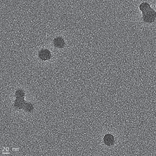 Figure 2. TEM image of PHEMA nanoparticles.