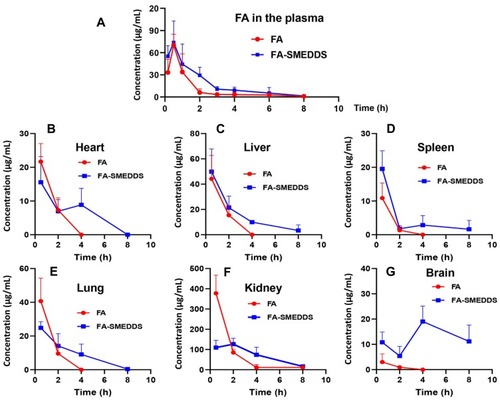 Figure 3 Pharmacokinetics and tissue distribution of FA after oral administration in rats. Results suggested that SMEDDS increases plasma exposure of FA, and decreases its renal distribution and enhances its brain accumulation. Plasma concentration–time profiles of FA (A). Concentration–time profiles of FA in the tissues, including heart (B), liver (C), spleen (D), lung (E), kidney (F), and brain (G).