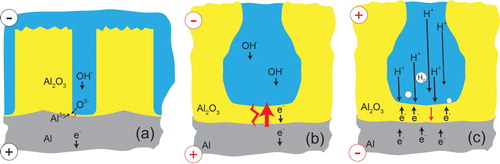 Figure 5. Schematic depictions of the transport phenomena taking place during (a) anodising, (b) PEO with anodic polarity and (c) PEO with cathodic polarity.