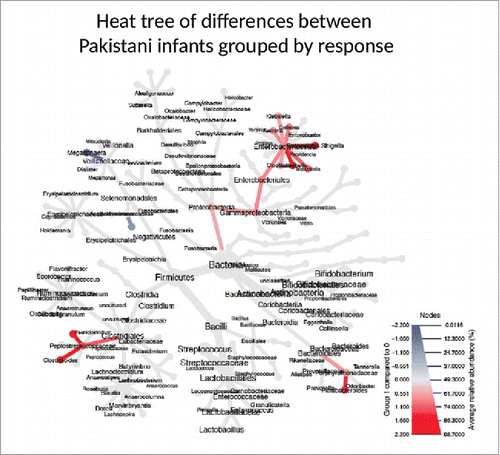 Figure 2. Phylogenetic Heat Tree illustrates the differences in relative bacterial abundance between Pakistani non-responders and responder infants. Colored blue are bacteria where a lower abundance associates with RVV response and colored red are bacterial groups where a higher abundance correlates with RVV response.