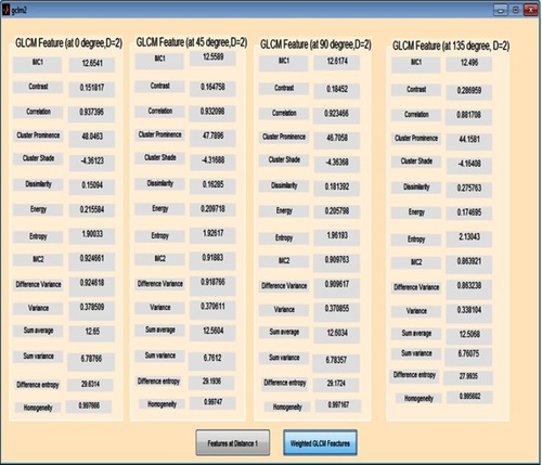 Figure 5 Gray level co-occurrence matrix (GLCM) features computed at D=2.