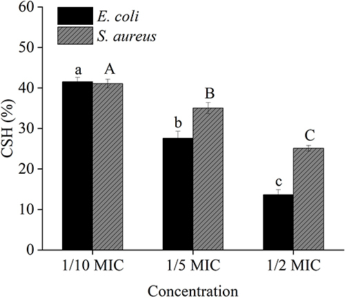 Figure 4 Effect of sub-MICs of A7G (1/10 MIC, 1/5 MIC, 1/2 MIC) on cell surface hydrophobicity. Bars labeled with different letters (a, b, c or A, B, C) indicated significant differences at P < 0.05.