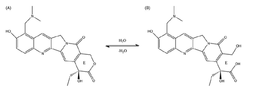 Scheme 1. The hydrolysis of topotecan (A) to produce carboxylate (B).