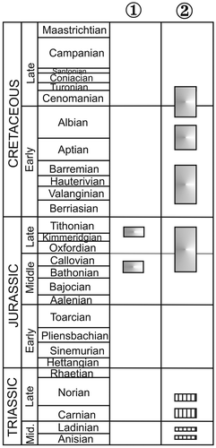 Figure 8. Radiolarian ages from IntraPontide Suture Zone: (1) Middle Bathonian-early Callovian age from sedimentary cover of the Aylı Dag Ophiolite sequence (Göncüoğlu et al., Citation2012) and late Kimmeridgian-early Tithonian age from slice in IPS (Göncüoğlu et al., Citation2008) (2) Radiolarian ages recently obtained in from IPS, ages shown with stripes indicate radiolarian ages illustrated in this study.