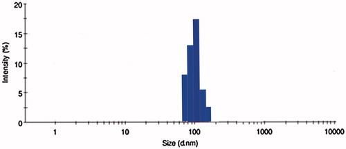 Figure 5. Particle size evaluation of OIHNPs by DLS.
