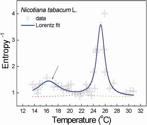 Figure 1. Double resonance curve of the reciprocal of the calculated (approximate) dynamic entropy of the extracellular ion fluxes as a function of temperature for the pollen tubes of Nicotiana tabacum L. The determined germination temperature was Tcger = 16.37 ± 0.24°C, while for the optimal growth, it was Tcopt = 25.25 ± 0.03°C. The solid royal blue line corresponds to the multi-peak Lorentz fit (R2 = 0.69), which is interpolated by the B-spline. The errors (empirical: xerr = ± 0.5°C; from Lorentz fit: yerr = ± 0.125) are represented by the drone-like objects in the plot. The arrow indicates the peak of reverse entropy (corresponding to the local minimum of dynamic entropy) that is associated with germination. The approximate entropy does reflect closely what was obtained for the spectral exponent before [compare with Fig. 5 in Citation4]