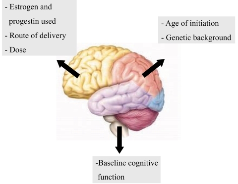 Figure 1 Factors affecting the response of the brain to hormone replacement therapy.