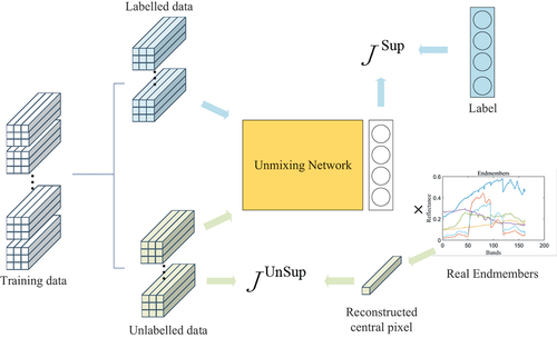 Figure 2. The overall training framework of CNN-SsN.