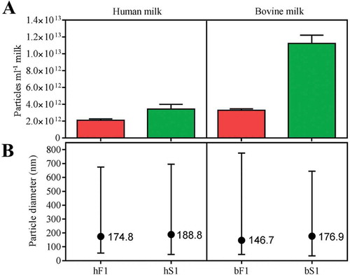 Figure 3. Particle concentration and size by nanoparticle tracking analysis (NTA). (a) Particle concentration in the first SEC peaks of human and bovine fluff (red) and milk serum (green) fractions adjusted to the original volume of milk. (b) Particle size distribution indicated by minimum, mode (●), and maximum particle diameter (nm). All samples were diluted in particle-free PBS, 20 mM EDTA and analysed using the NanoSight NTA system. Five successive measurements were performed on each sample. Minimum concentration for inclusion in minimum and max size in averaged records: 100 particles ml–1. Abbreviations: hF1, human fluff MEV; hS1, human milk serum MEV; bF1, bovine fluff MEV; bS1, bovine milk serum MEV.