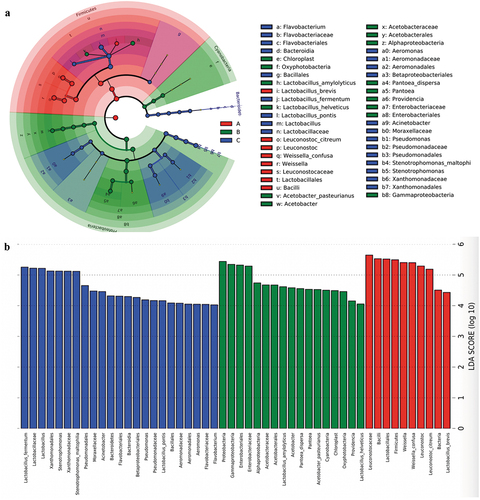 Figure 9. LEfSe analyses the biomarker among the three types ZPCs. (a) The cladogram shows the abundance of different taxa in ZPC samples. (b) Histogram results with a threshold ≥ 4.