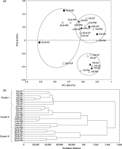 Figure 1  Principal component analysis (PCA) and cluster analysis using the 16S rRNA gene denaturing gradient gel electrophoresis profiles. (a) PCA plot bounded by each soil type. Abbreviated names are shown near each plot. The different treatments are represented as follows: white, chemical fertilizer application (CF); black, rice husk and cow manure application (HC); gray, pig manure application (PM). The different soil types are represented as follows: , Cumulic Andosol (CA); , Low-humic Andosol (LHA); , Yellow Soil (YS); , Gray Lowland Soil (GLS). (b) A dendrogram using Ward's clustering method.