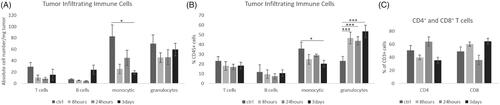 Figure 6. RT-associated decreased intratumoral leukocyte counts at 8–24 h recover partly after 3 days. Kinetics of tumor infiltrating immune cells (T cells, B cells, monocytes/macrophages and granulocytes) were analyzed in mock treated controls, 8 h, 24 h, and 3 days after tumor RT with 2 Gy (n = 4, mean +/− SEM). (A) Absolute cell number/mg tumor (monocytic 3 days p = .02), (B) % of CD45+ cells; (C) % CD4+ and CD8+ T cells of CD3+ cells. (*p < .05, **p < .01, ***p < .001)