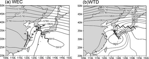 Fig. 3. Mean TC track (interval 6 h) from approaching time point (–12 h) of TC and 500 hPa mean geopotential height (gpm) at approaching time point for (a) WEC and (b) WTD.