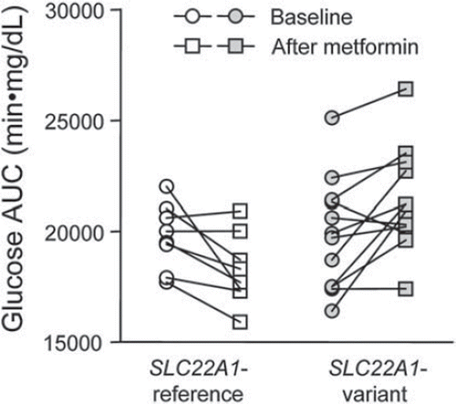 Figure 2. Association of SLC22A1 (OCT1) variants with response to metformin in healthy volunteers. Oral glucose (75 g) tolerance test was performed before (base-line) and after two doses of metformin. The glucose AUC was calculated from the time course of plasma glucose concentrations. Comparison of healthy individuals with only reference SLC22A1 alleles (n = 8) and those with at least one reduced-function allele in SLC22A1: p.61R>C, p.401G>S, p.420del, or p.465G>R (n = 12). Data are from (Citation37).