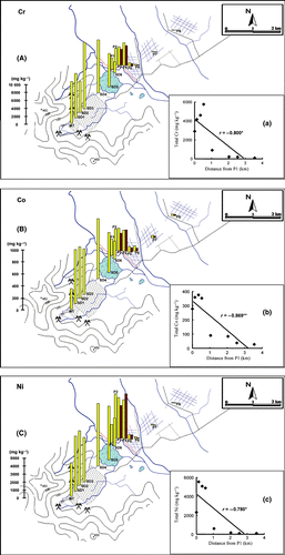 Figure 3 (A–C) Horizontal distribution of Cr, Co and Ni in the mine tailings, sediments and paddy soils. □, surface layer; ▪, subsurface layer. (a–c) Relationships between Cr, Co and Ni in the surface layer of the paddy soils and the distance from the P1 site.