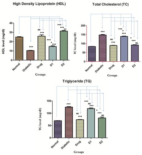 Figure 3 The comparison of PFA-extract effects on HDL (high density lipoprotein), TC (total cholesterol), and TG (triglyceride) in rats. All the data were presented as mean ± SD. Groups are; normal control, diabetic control, drug control (metformin 100 mg/kg), D1 (dosing group 1; 250 mg/kg), and D2 (dosing group 2; 500 mg/kg). ***Denotes P< 0.0001, **P< 0.001, *P< 0.05, and ns denotes ‘no level of significance’ versus normal control, diabetic control and drug control.