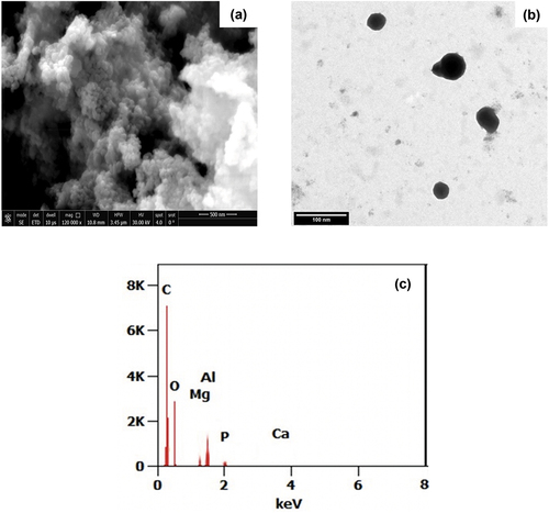 Figure 3. TEM (a), SEM (b), and EDX (c) Images for the green synthesized Artemisia anuua extract nanoparticles using sonochemical technique.