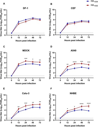 Figure 4. Growth curves of the rCT/W811-HA193N and rCT/W811-HA193D viruses in avian- and mammalian-origin cells. Cell monolayers of DF-1 (A), CEF (B), MDCK (C), A549 (D), Calu-3 (E), and NHBE (F) were infected with the rCT/W811-HA193N and rCT/W811-HA193D viruses at an MOI of 0.01 for 72 h. TCID50 virus titres were measured in the supernatants at the indicated time points. The data are presented as the mean values of three inoculated wells ± the SEM for each time point and are representative of three independent experiments. * indicates p < 0.05, ** indicates p < 0.01, *** indicates p < 0.001, and **** indicates p < 0.0001.