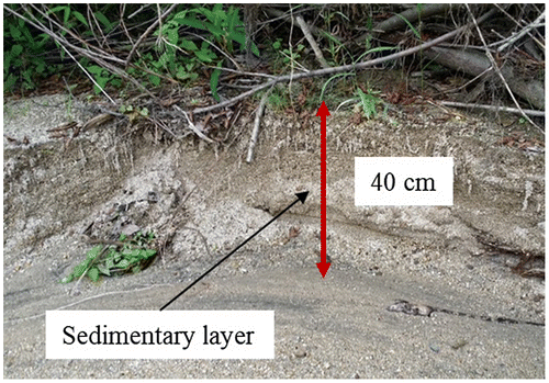 Figure 2. Sedimentary layer.